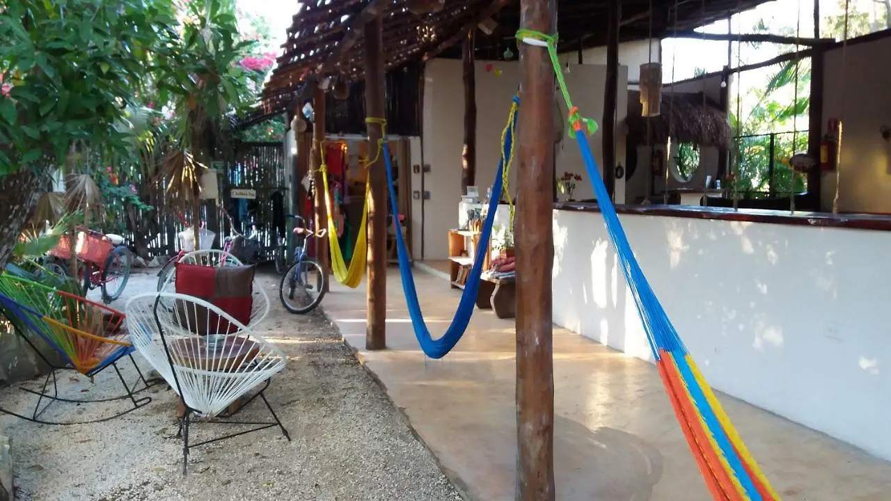 Tubo Tulum Hostel Mexikó