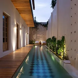 mas-palomas-concept-house.hotelsmerida.org/