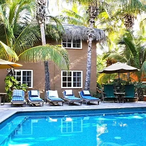 the-bungalows-hotel.cabosanlucashotelsmexico.com/