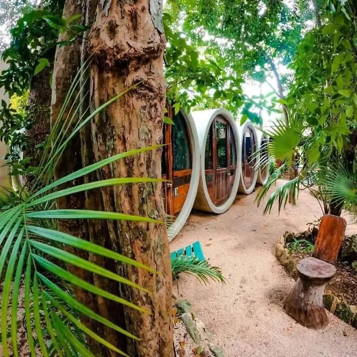 Tubo Tulum Hostel contacts