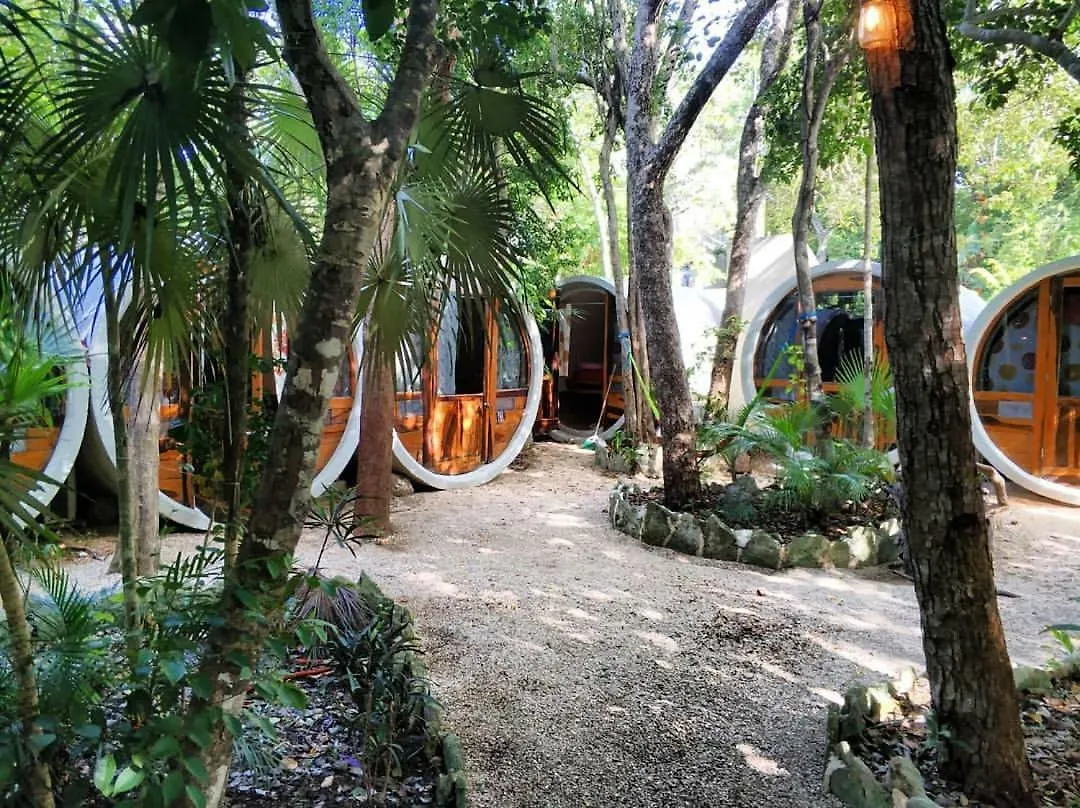 Tubo Tulum Hostel Mexico